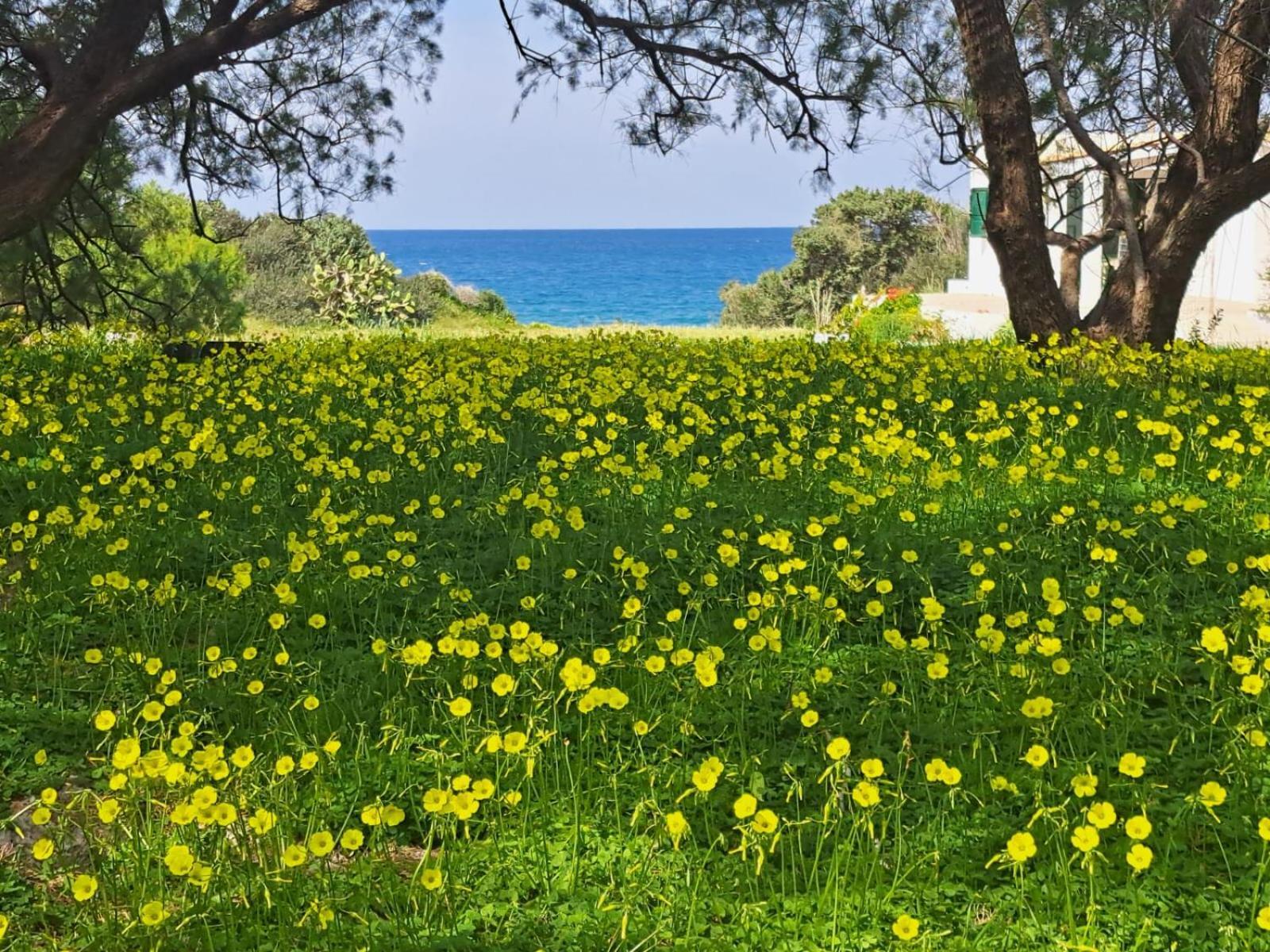 Lovely Independent In Ecovilla On The Apolakkia