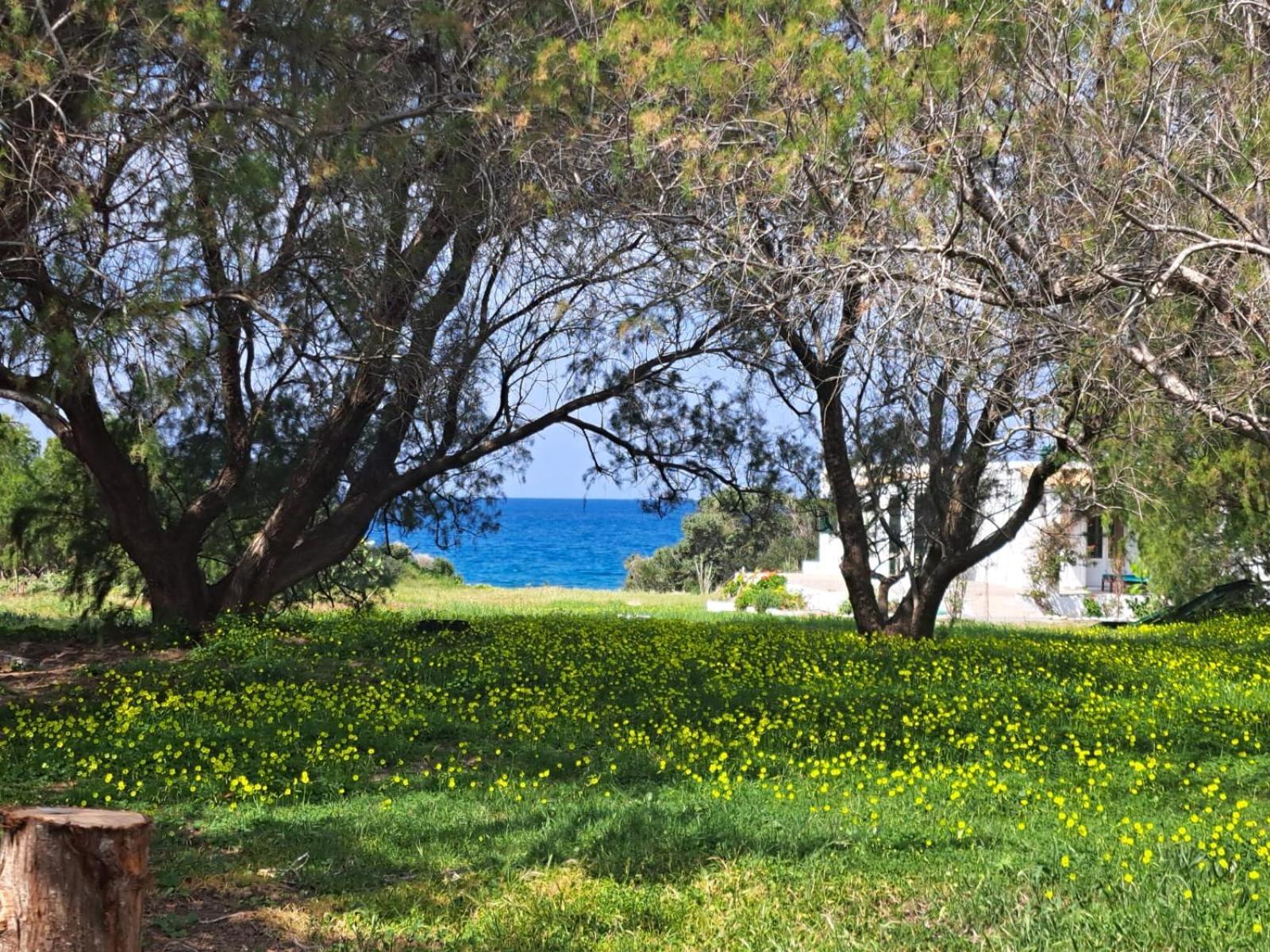 Lovely Independent In Ecovilla On The Apolakkia